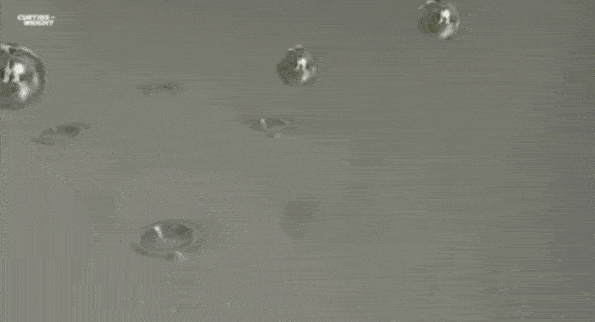 1617953434778412.gif 4-1.gif