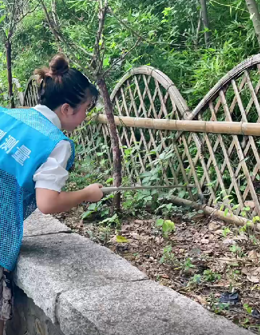 1657093061526290.png 微信截圖_20220706143736.png